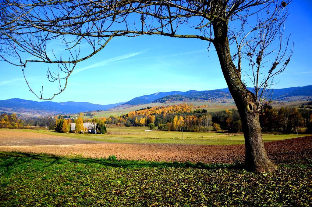 Penzion Na Cervenem Potoce Králíky Exterior foto