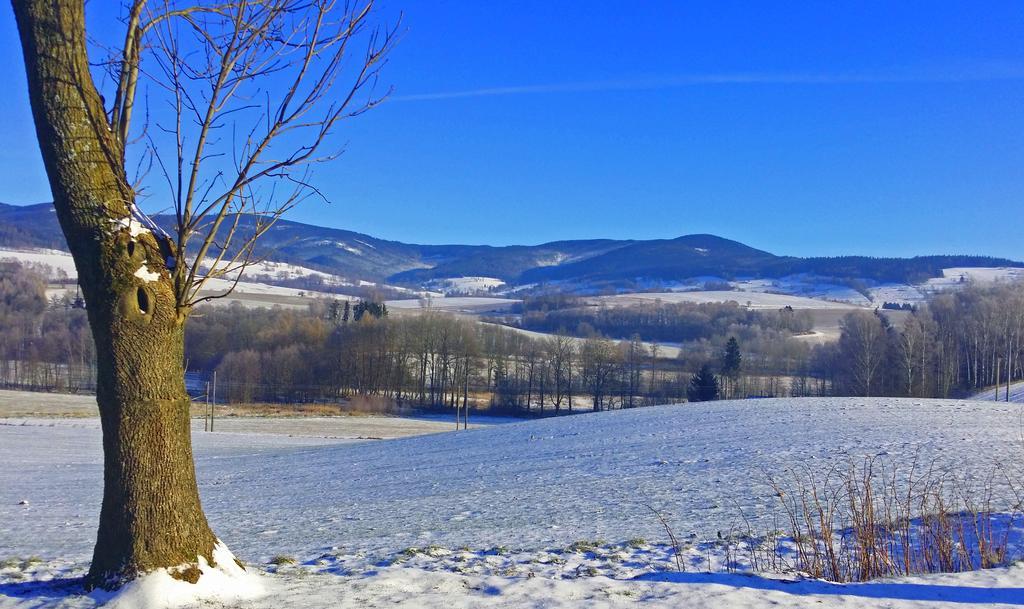 Penzion Na Cervenem Potoce Králíky Exterior foto